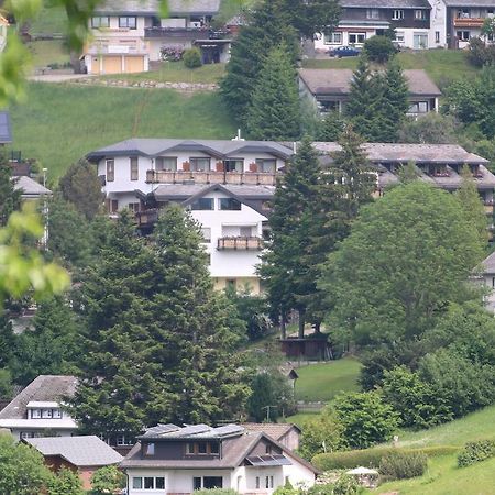 Todnauerberg Hotel Im Schwarzwald Тодтнауберг Экстерьер фото