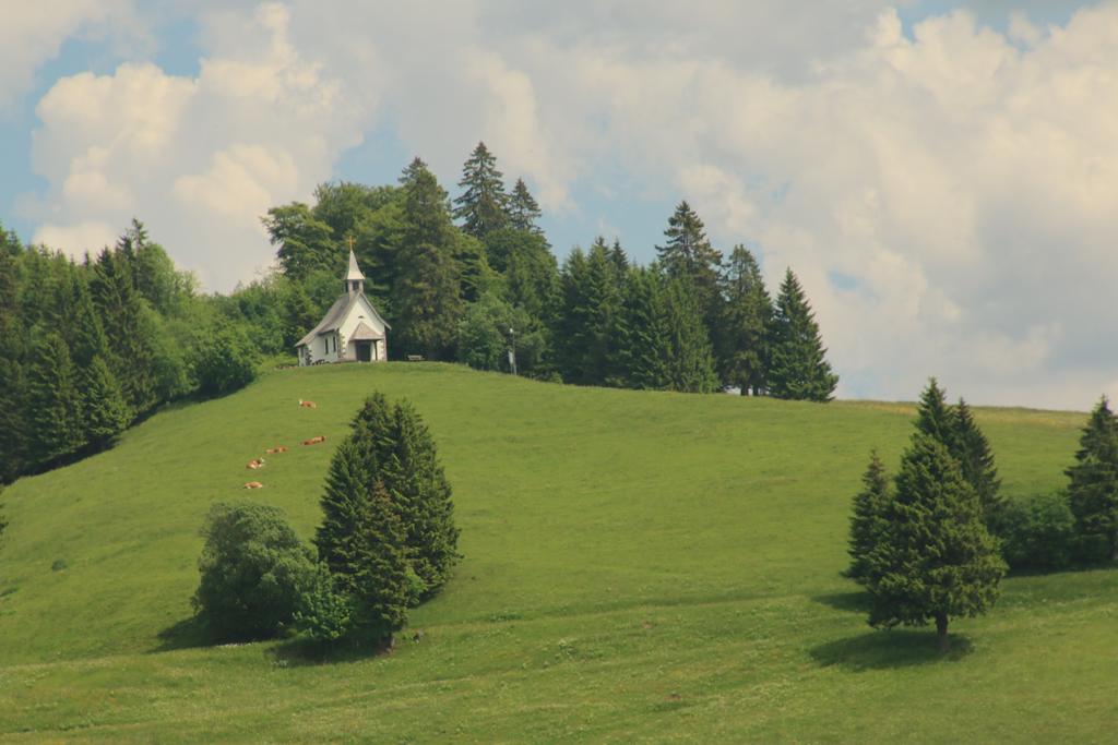 Todnauerberg Hotel Im Schwarzwald Тодтнауберг Экстерьер фото