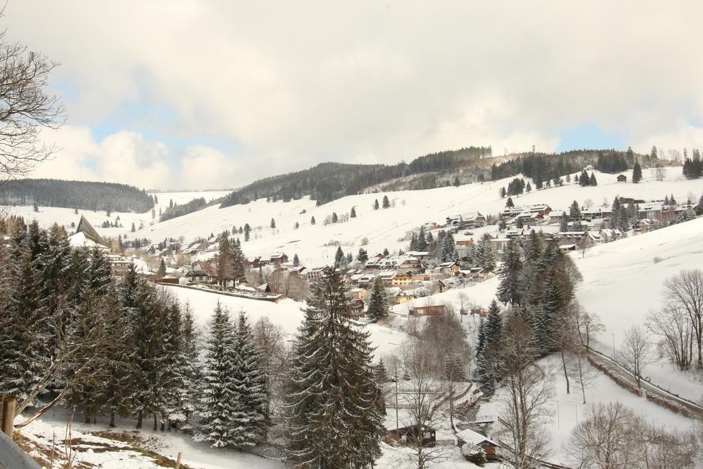 Todnauerberg Hotel Im Schwarzwald Тодтнауберг Экстерьер фото