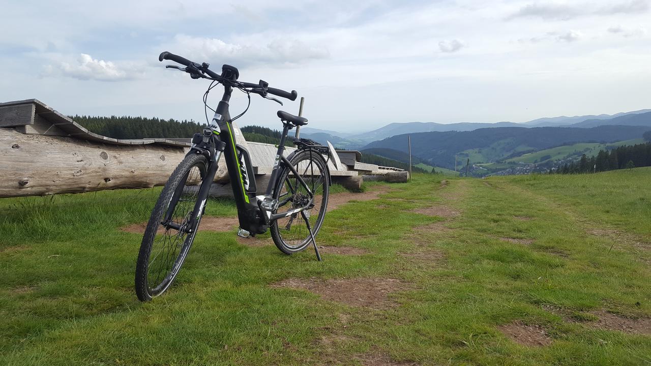 Todnauerberg Hotel Im Schwarzwald Тодтнауберг Экстерьер фото